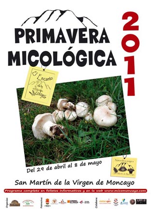 jornadas micológicas