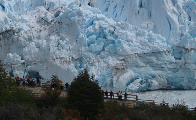 el calafate