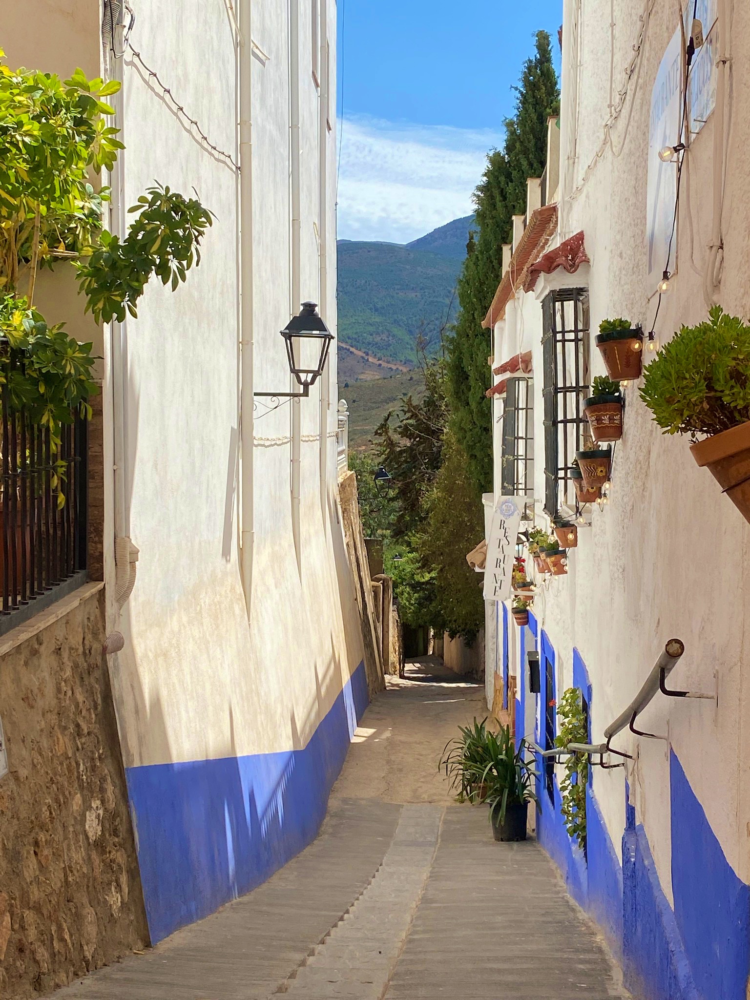 Calle con fachadas azules y macetas