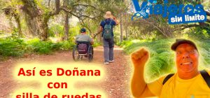 Miguel y Eva, de espaldas Explorando Doñana en silla de ruedas, entre senderos y naturaleza accesible