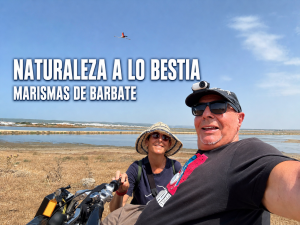 Miguel Nonay y Eva junto a las Marismas de Barbate, con un flamenco volando sobre ellos.